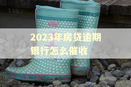 2023年房贷逾期银行怎么催收