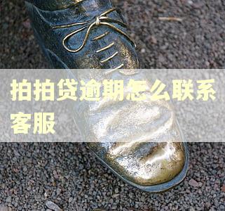 拍拍贷逾期怎么联系客服 拍拍贷逾期怎么联系客服