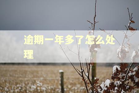 逾期一年多了怎么处理