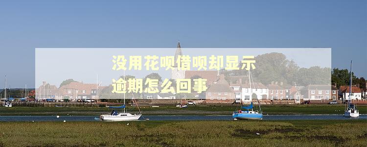 没用花呗借呗却显示逾期怎么回事
