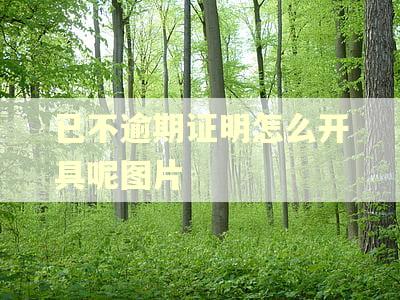已不逾期证明怎么开具呢图片 已不逾期证明怎么开具呢图片
