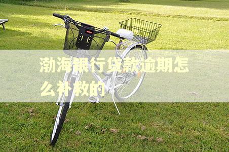 渤海银行贷款逾期怎么补救的