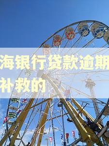 渤海银行贷款逾期怎么补救的