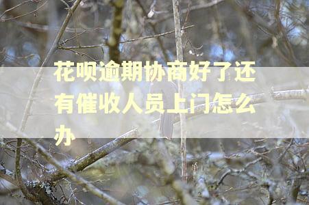 花呗逾期协商好了还有催收人员上门怎么办