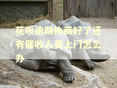 花呗逾期协商好了还有催收人员上门怎么办