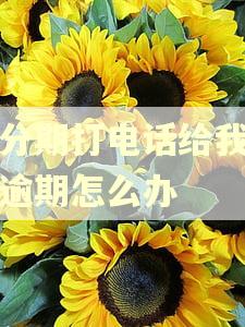 小分期打电话给我说我逾期怎么办