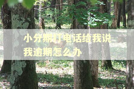 小分期打电话给我说我逾期怎么办
