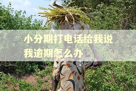 小分期打电话给我说我逾期怎么办