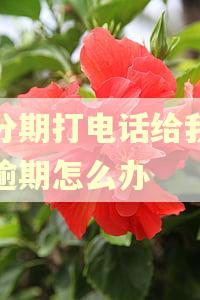 小分期打电话给我说我逾期怎么办 小分期打电话给我说我逾期怎么办