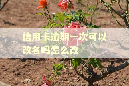 信用卡逾期一次可以改名吗怎么改