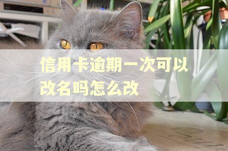 信用卡逾期一次可以改名吗怎么改
