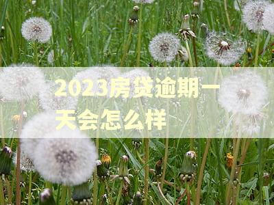 2023房贷逾期一天会怎么样