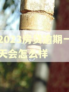 2023房贷逾期一天会怎么样