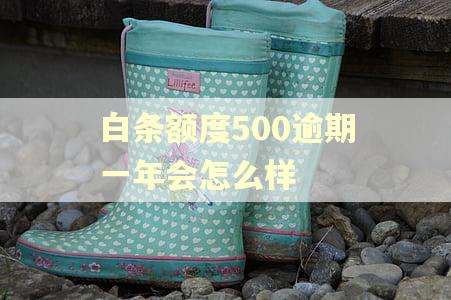 白条额度500逾期一年会怎么样