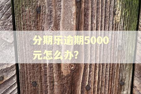 分期乐逾期5000元怎么办？