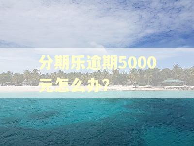 分期乐逾期5000元怎么办？