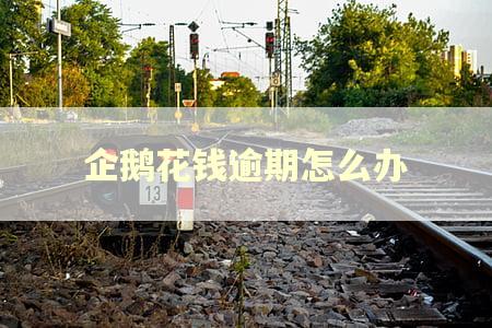 企鹅花钱逾期怎么办