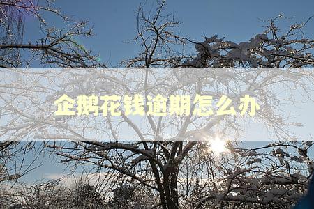 企鹅花钱逾期怎么办
