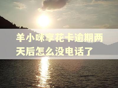 羊小咪享花卡逾期两天后怎么没电话了