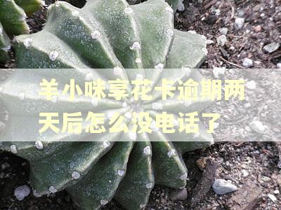 羊小咪享花卡逾期两天后怎么没电话了