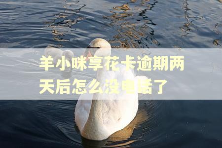 羊小咪享花卡逾期两天后怎么没电话了 羊小咪享花卡逾期两天后怎么没电话了