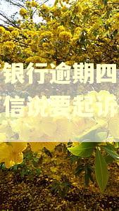 招商银行逾期四个月发短信说要起诉怎么办 招商银行逾期四个月发短信说要起诉怎么办