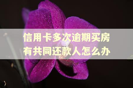 信用卡多次逾期买房有共同还款人怎么办