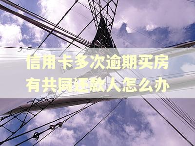 信用卡多次逾期买房有共同还款人怎么办