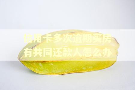 信用卡多次逾期买房有共同还款人怎么办
