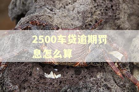 2500车贷逾期罚息怎么算 2500车贷逾期罚息怎么算