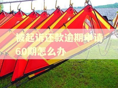 被起诉还款逾期申请60期怎么办