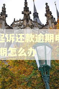 被起诉还款逾期申请60期怎么办