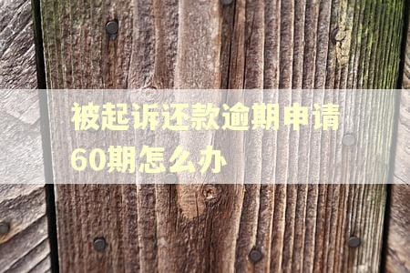 被起诉还款逾期申请60期怎么办 被起诉还款逾期申请60期怎么办