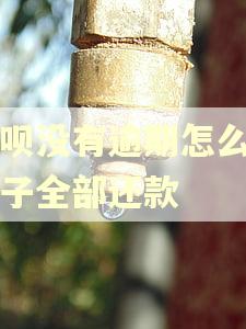 花呗没有逾期怎么一下子全部还款