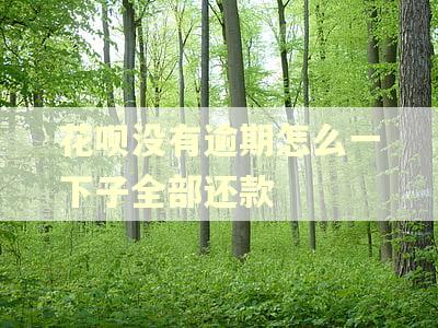 花呗没有逾期怎么一下子全部还款
