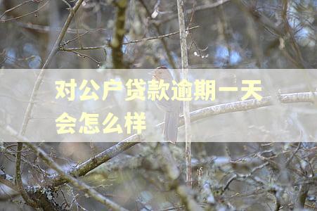 对公户贷款逾期一天会怎么样