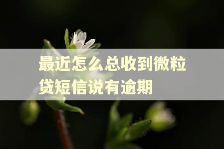最近怎么总收到微粒贷短信说有逾期