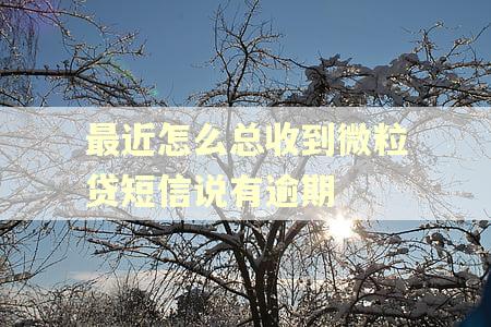 最近怎么总收到微粒贷短信说有逾期