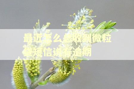 最近怎么总收到微粒贷短信说有逾期
