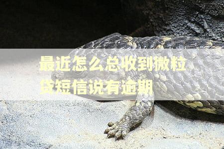 最近怎么总收到微粒贷短信说有逾期