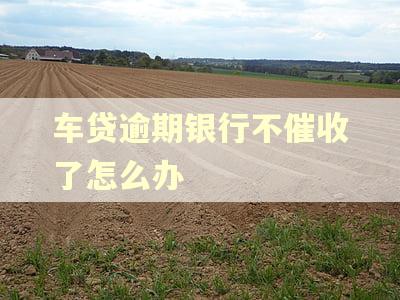 车贷逾期银行不催收了怎么办