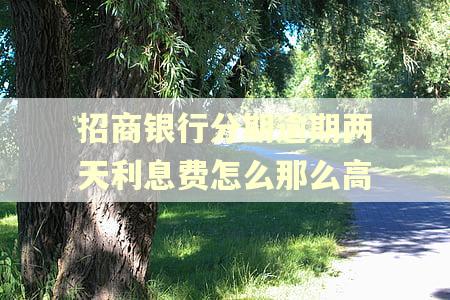招商银行分期逾期两天利息费怎么那么高