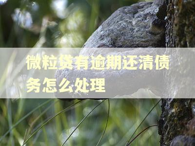 微粒贷有逾期还清债务怎么处理