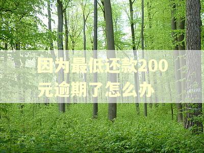因为最低还款200元逾期了怎么办