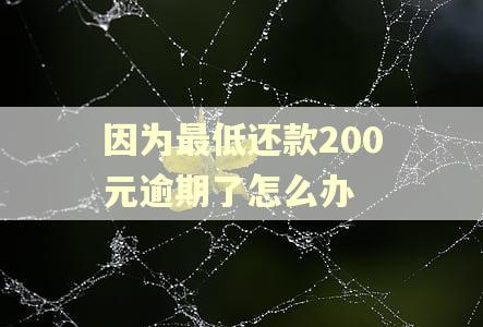 因为最低还款200元逾期了怎么办