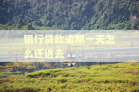 银行贷款逾期一天怎么还进去