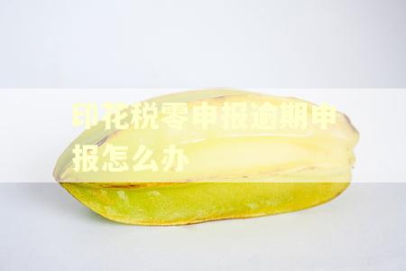印花税零申报逾期申报怎么办