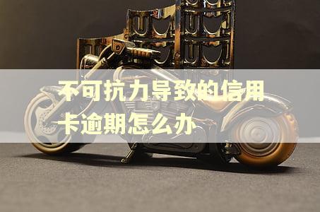 不可抗力导致的信用卡逾期怎么办