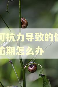 不可抗力导致的信用卡逾期怎么办