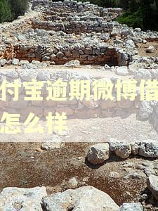 支付宝逾期微博借钱会怎么样
